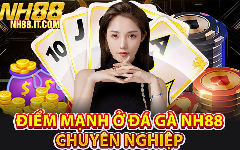 Đá gà NH88