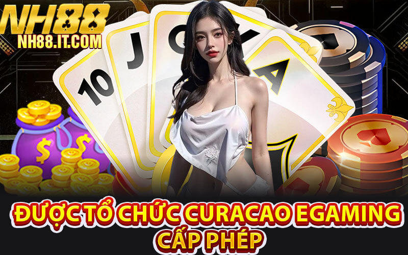 giấy phép kinh doanh NH88