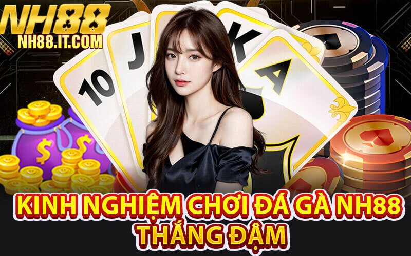 Đá gà NH88