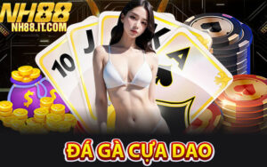 Đá Gà Cựa Dao