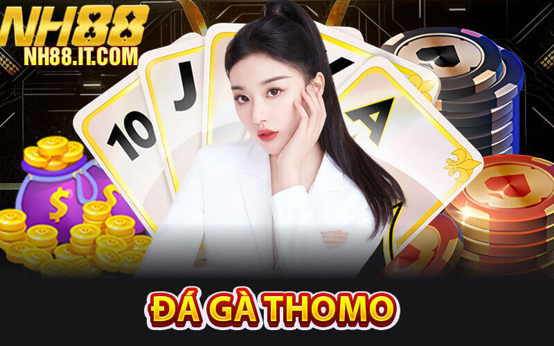 Đá Gà Thomo