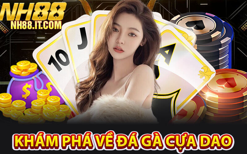 Đá Gà Cựa Dao