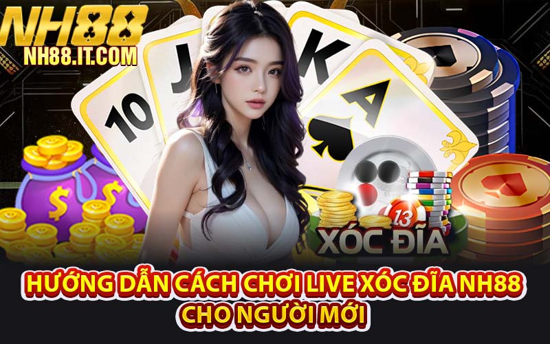 Hướng Dẫn Cách Chơi Live Xóc Đĩa NH88 Cho Người Mới