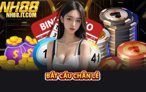 Bắt Cầu Chẵn Lẻ